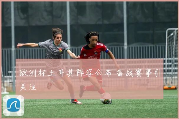 欧洲杯土耳其阵容公布 备战赛事引关注