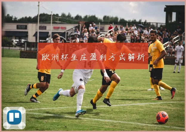 欧洲杯坐庄盈利方式解析