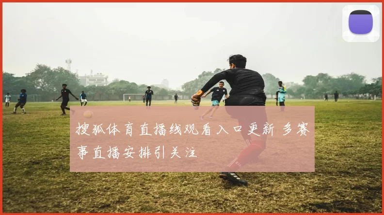 搜狐体育直播线观看入口更新 多赛事直播安排引关注